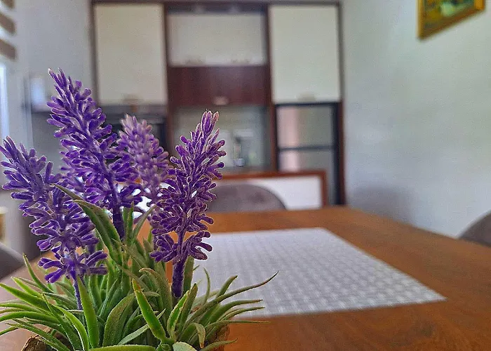 Apartman Kovaci